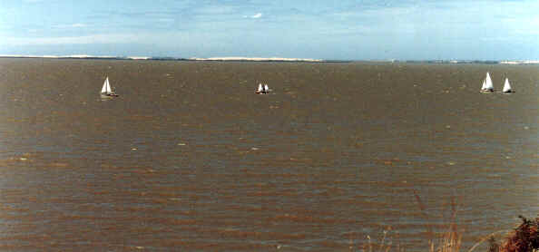 Southern L Alexandrina