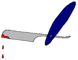 parsimonious razor